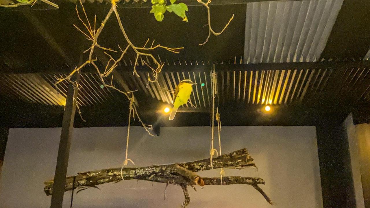Fardo Hotel Boutique En Ibague - Zona G - Recepcion Digital 24H エクステリア 写真